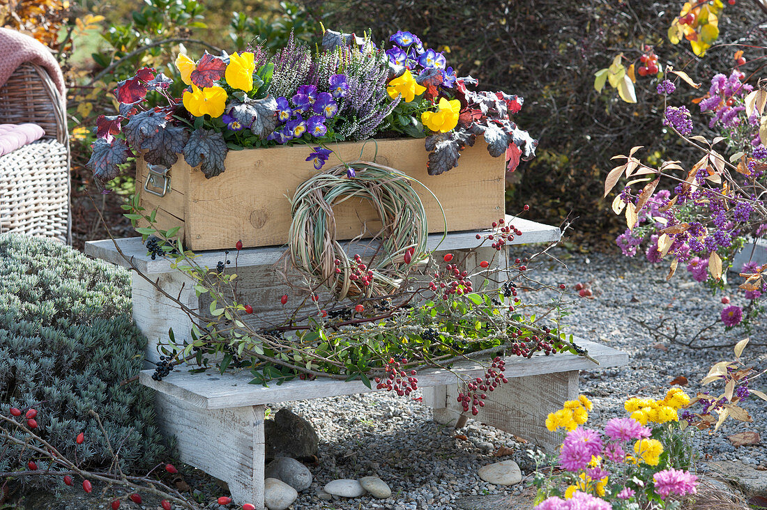 Autumn box with purple bells, pansies, violets and bud heather