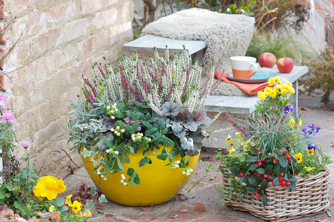 Bowl of trio-girls with heather buds, St. John's wort and purple bells