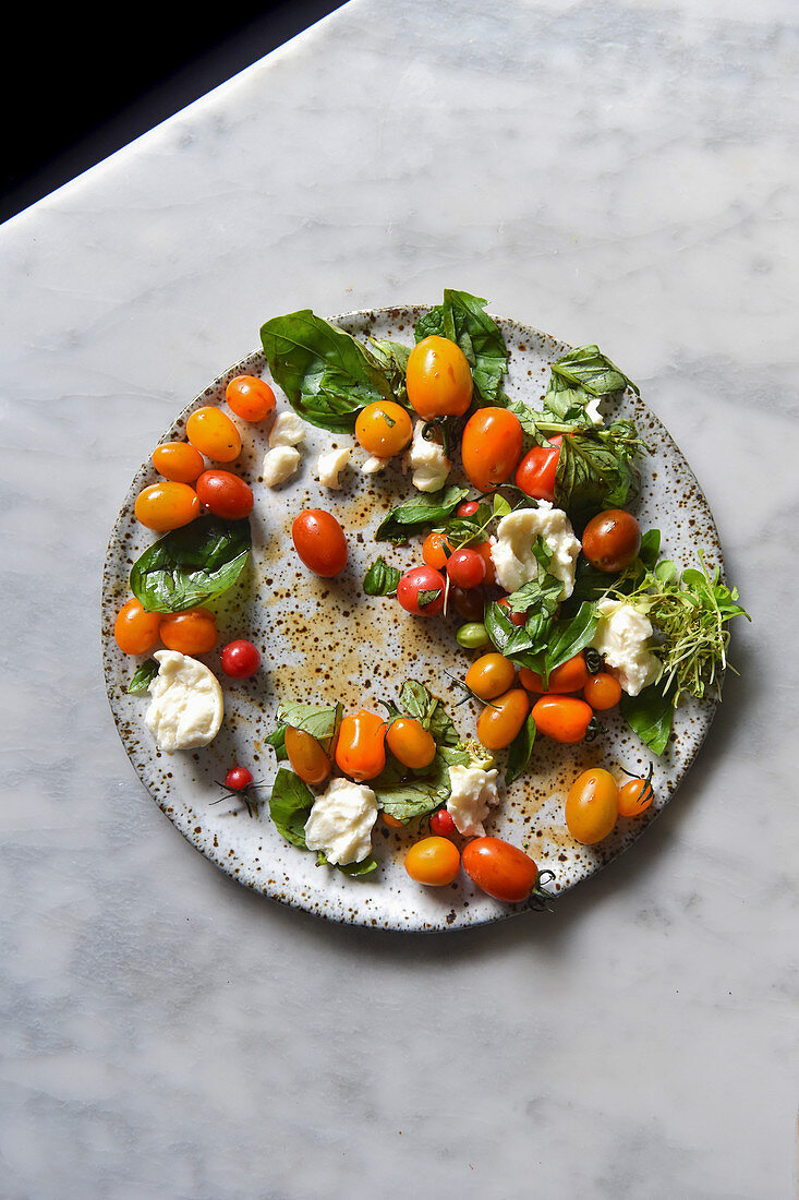 Caprese Salat mit verschiedenen Tomaten, Mozzarella und Basilikum