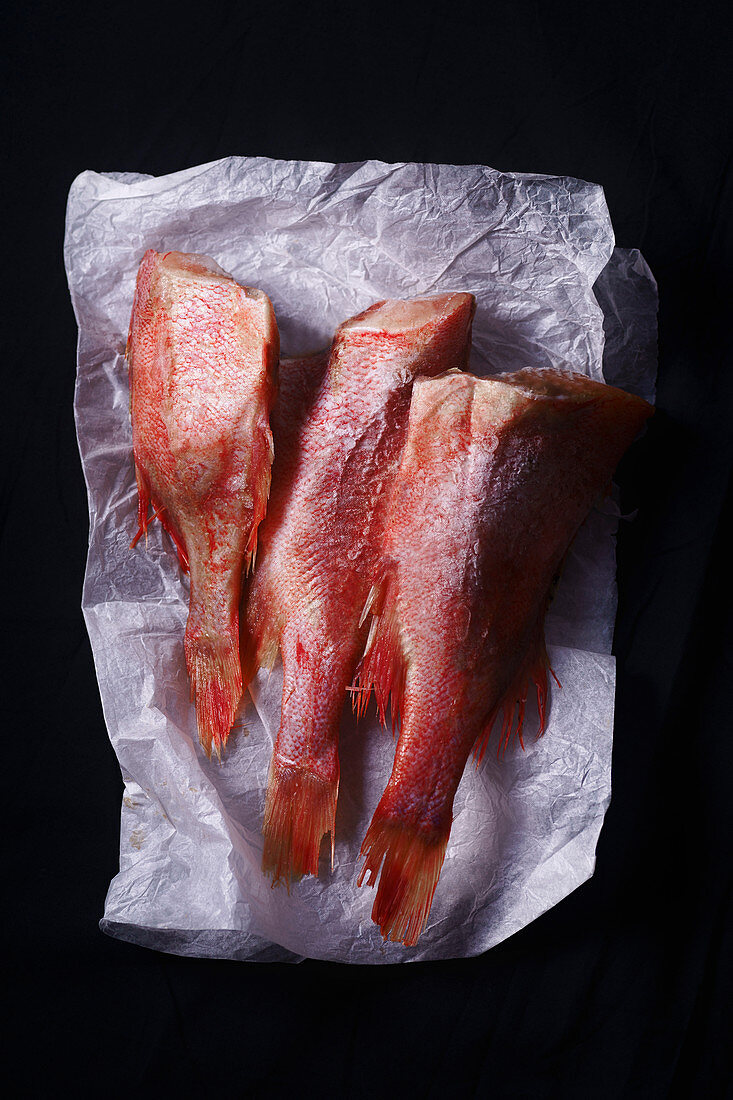 Raw uncooked fish perch on black background