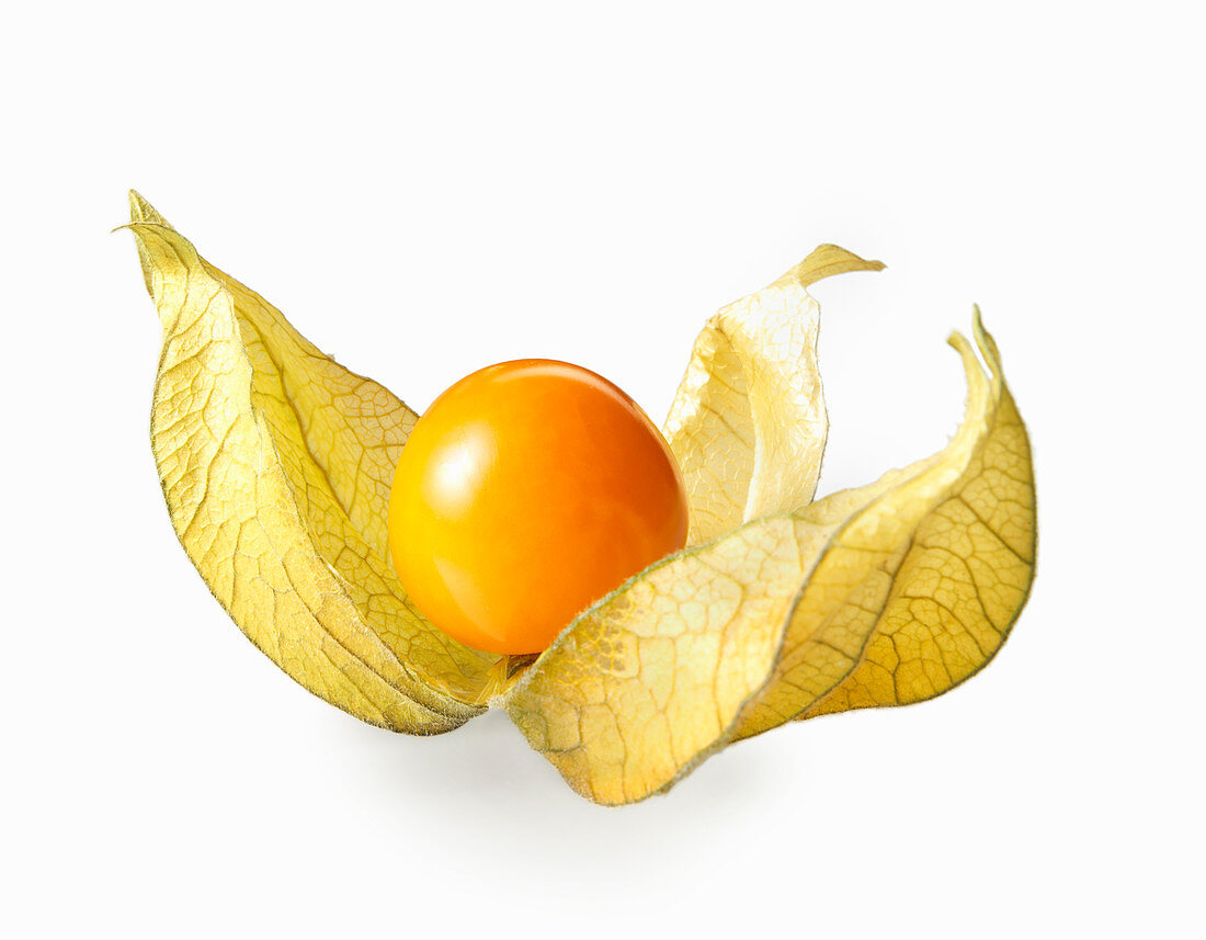 A physalis