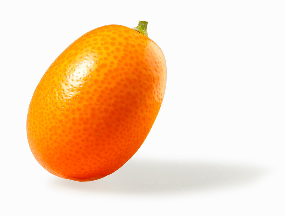 Eine Kumquat