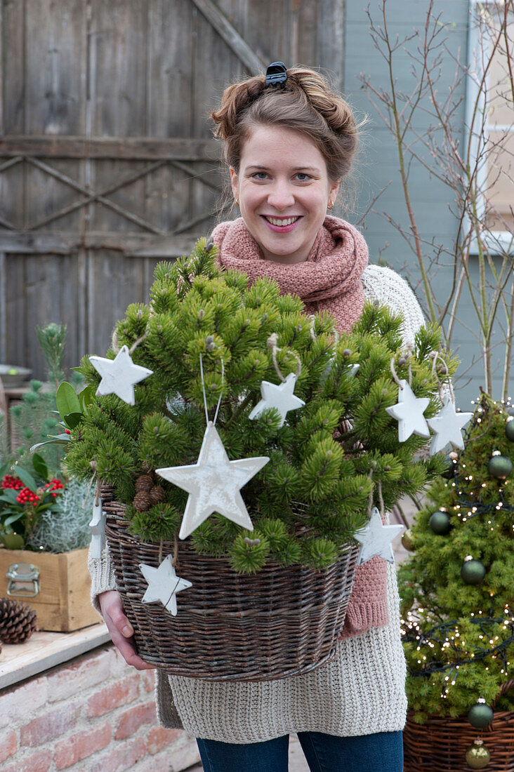 Woman holding dwarf mountain pine (Mops Mugo Pine) adorned with stars