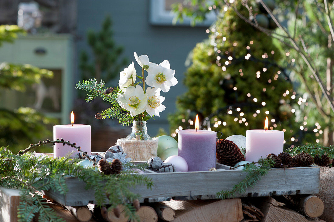 Weihnachtliche Deko mit Christrosen, Kerzen, Zapfen und Kugeln