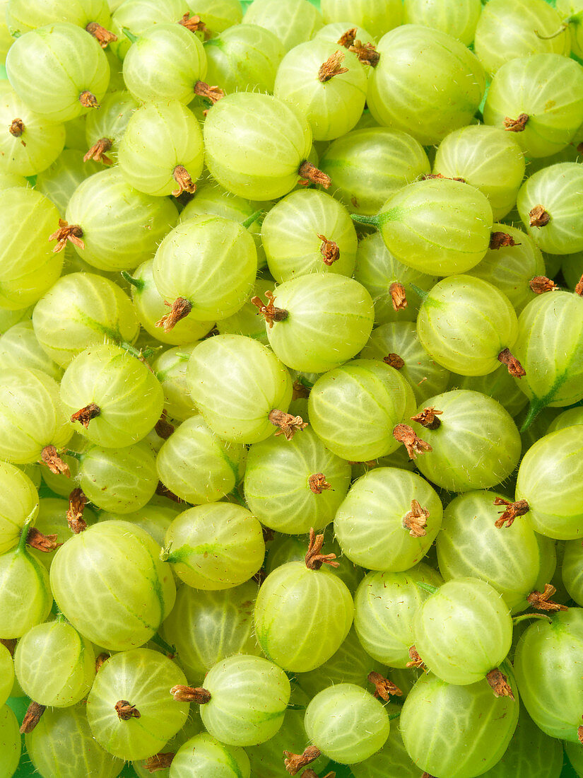 Green gooseberries (edge to edge)