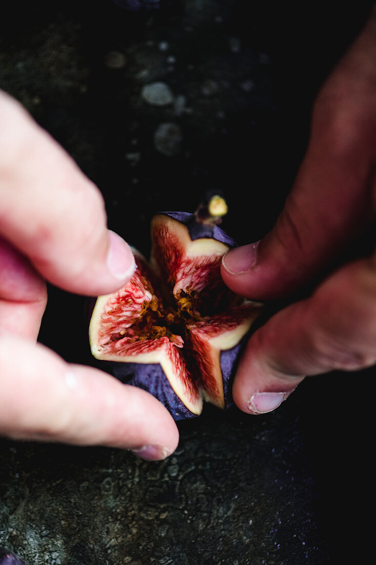 Opening Fig