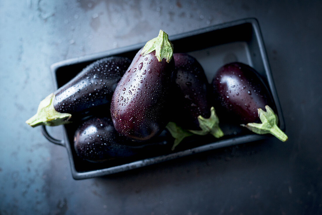 Several eggplants with drops of water in a bowl