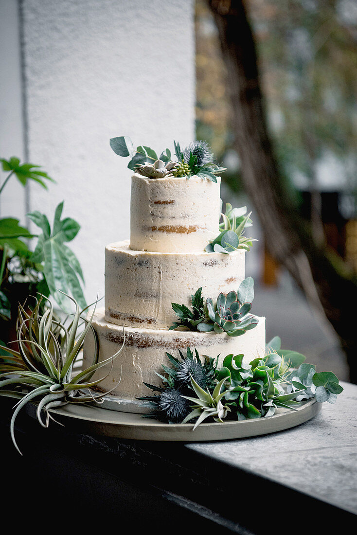 A minimalist wedding cake decorated with succulents