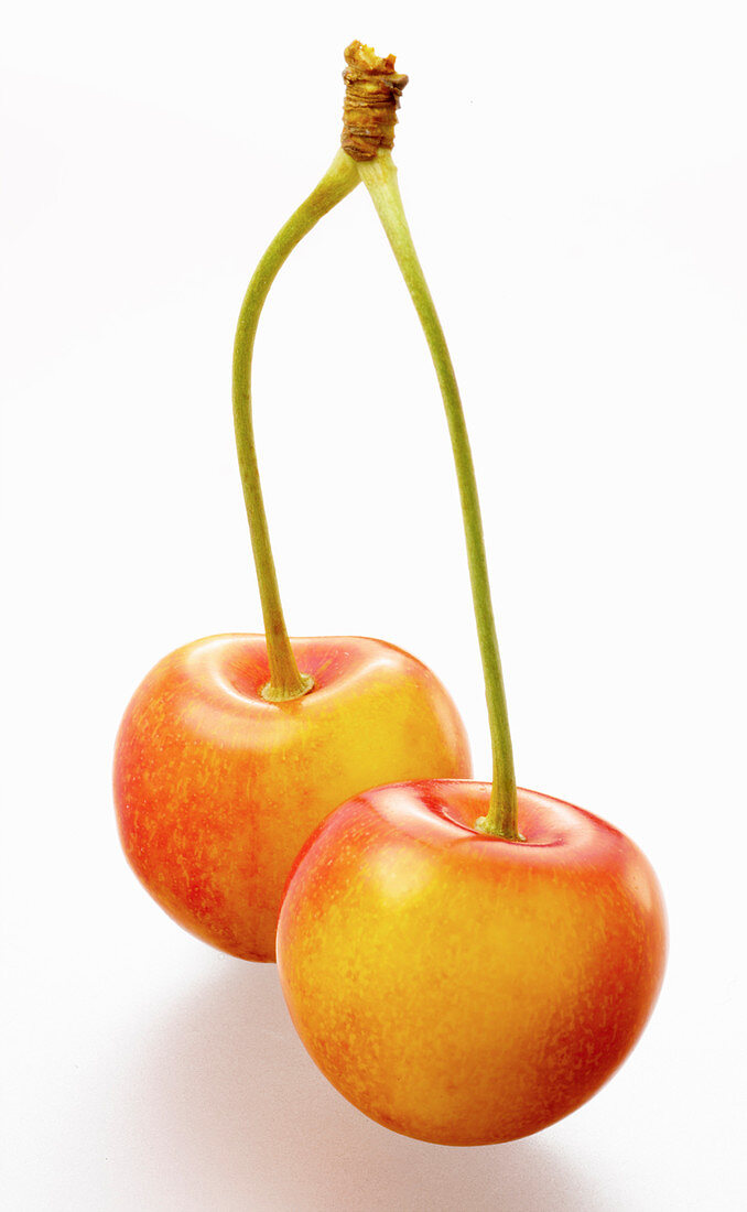 Two yellow cherries (glass cherries)