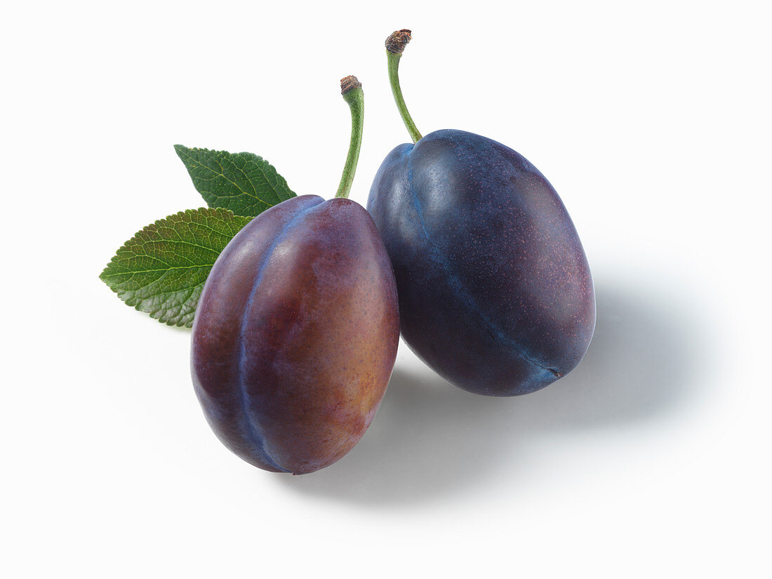 Two purple plums