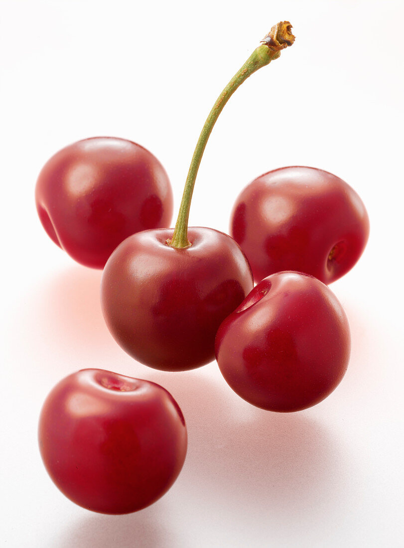 Five bright red cherries