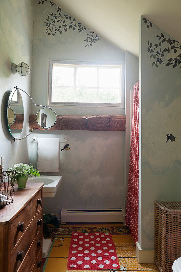 Sky with clouds and birds painted on walls of rustic bathrom