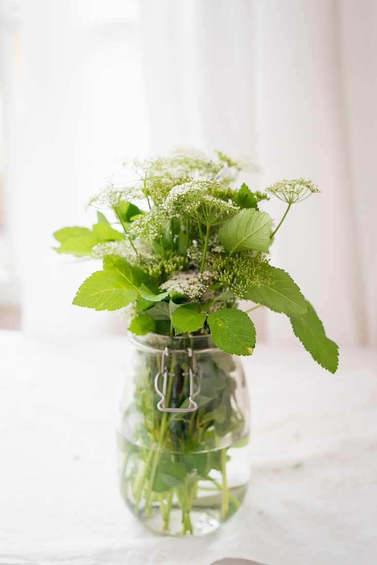 Fresh wild herbs in a glass of water