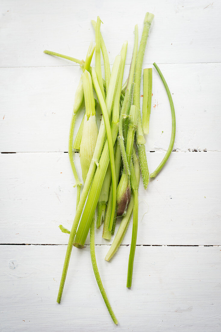 Wild herb stalks