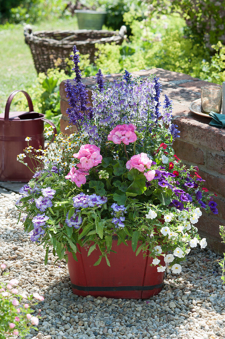 Arrangement with geraniums, verbena, magic bells