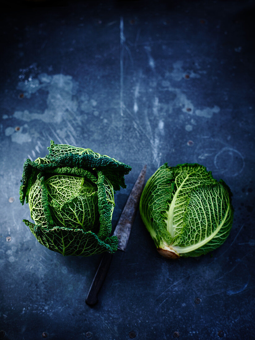 Savoy cabbage