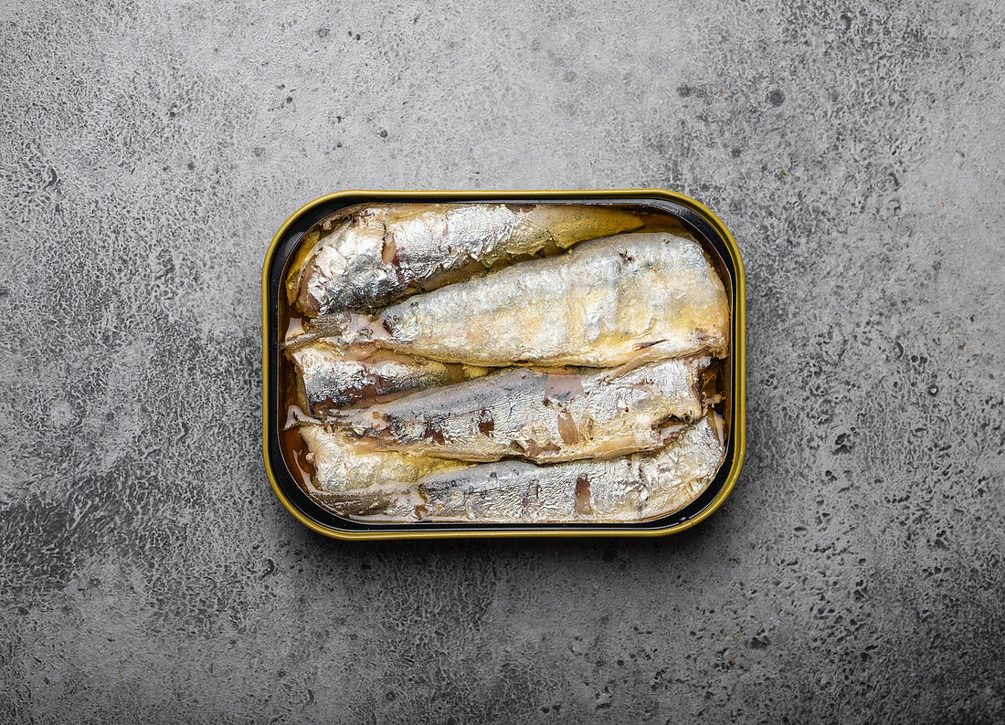 Canned sardine in a tin