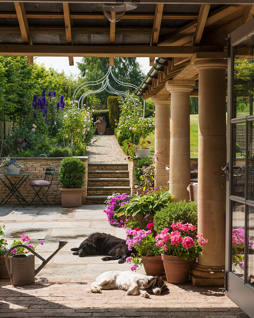 Dogs lying in sunny courtyard with pillars in summery garden
