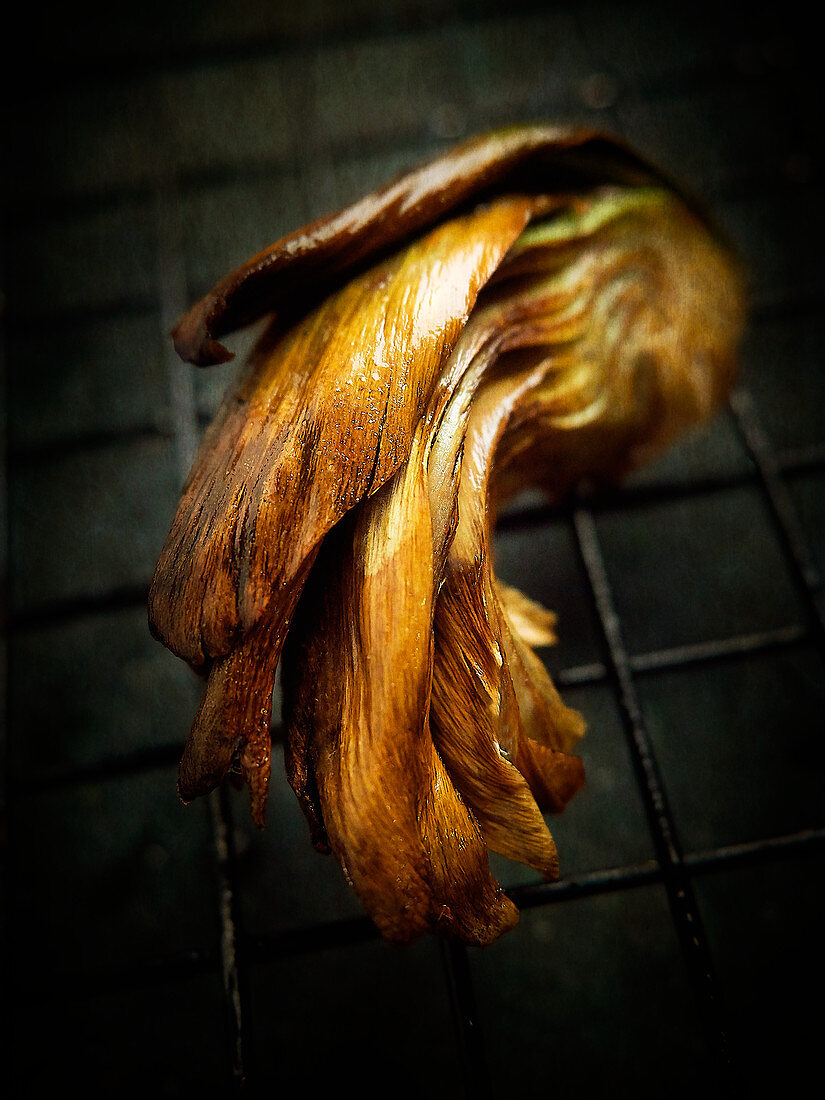 A grilled artichoke (close-up)