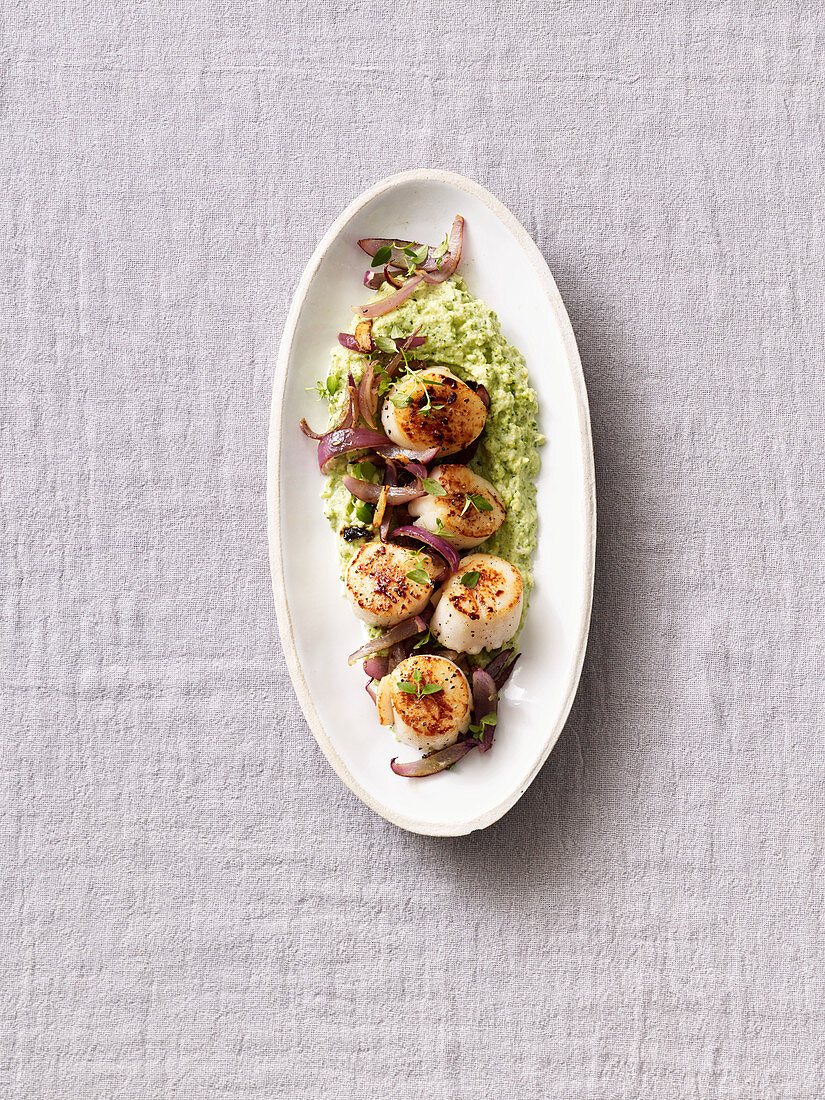 Scallops with broccoli purée