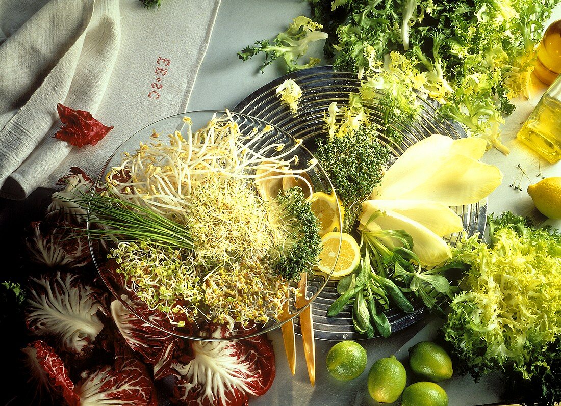 Stillleben mit Salatzutaten: Keime, Sprossen, Kresse, Salate