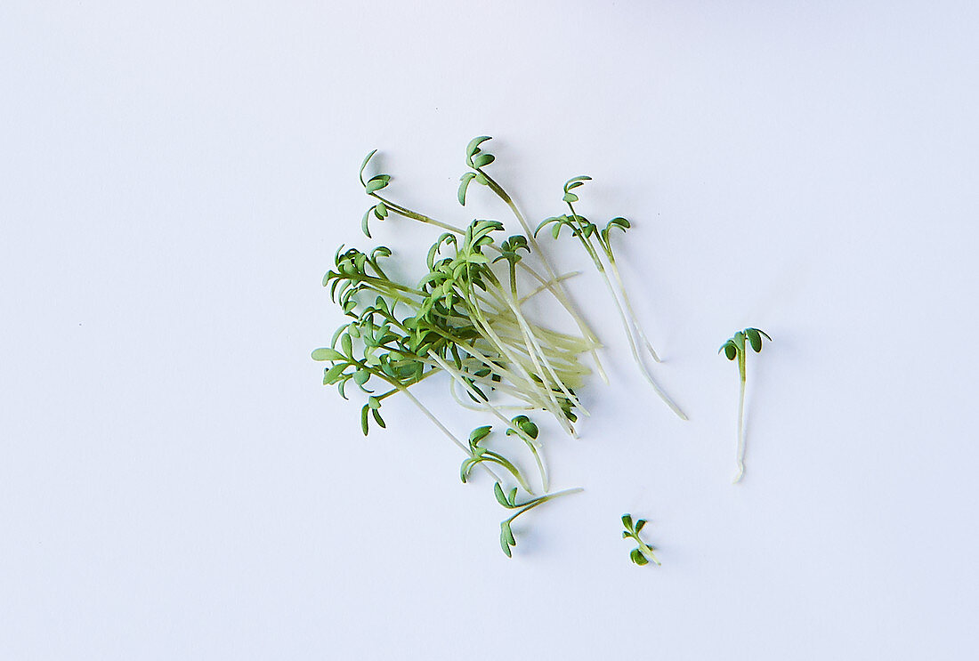 Fresh cress on a white surface