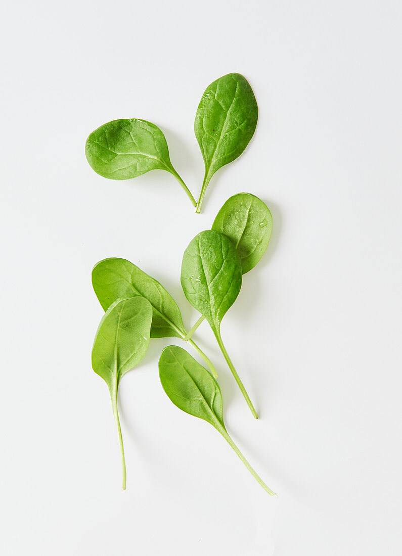 Fresh spinach leaves on a white surface