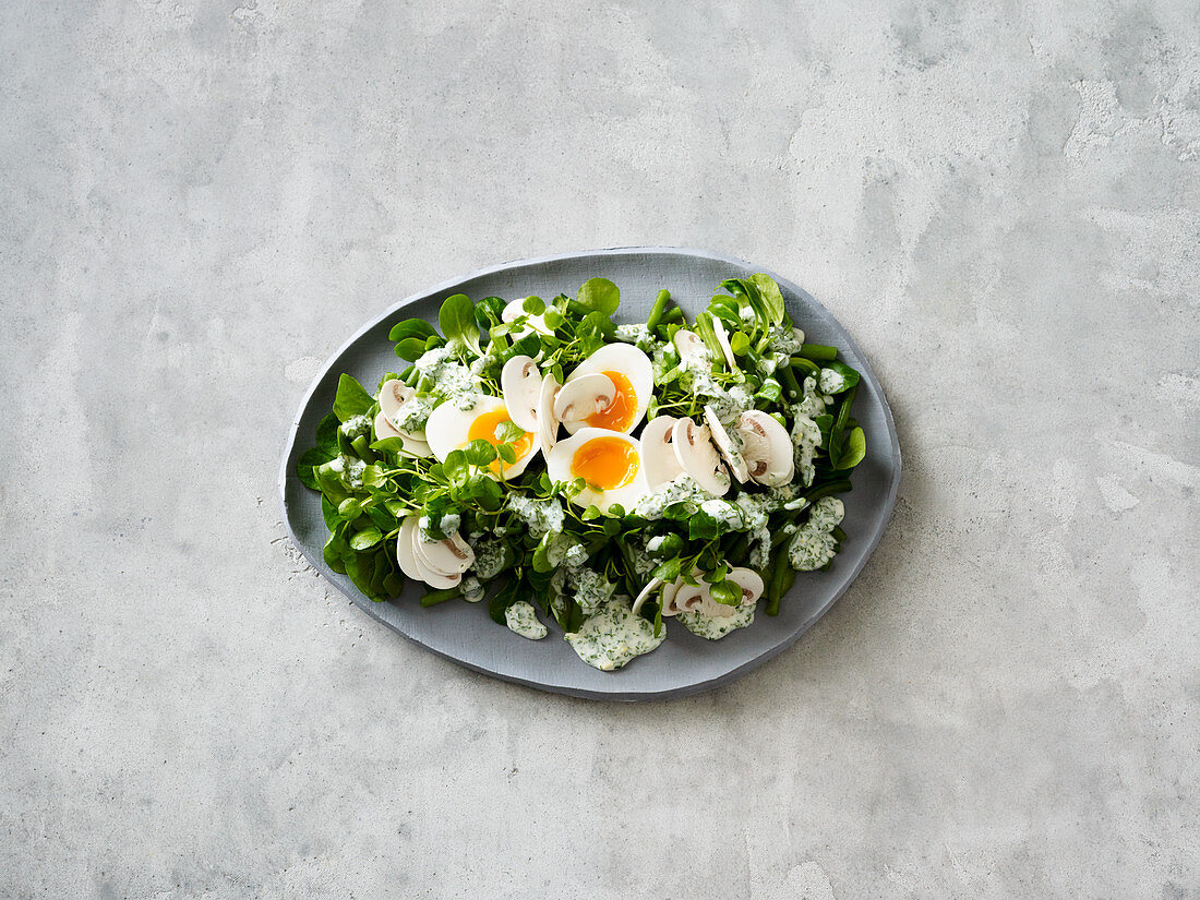 Watercress salad with green beans, egg and a herb dressing