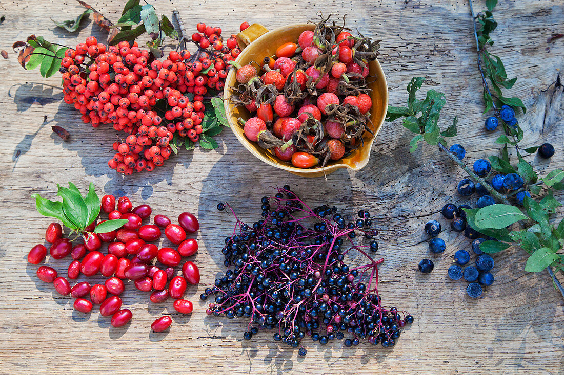 Various wild berries on a wooden background