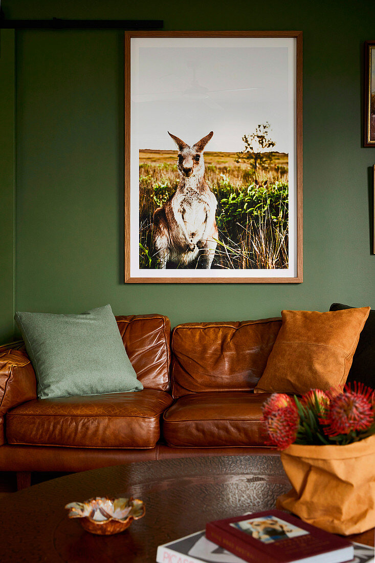 Picture of a kangaroo on a green wall above a brown leather sofa in the living room