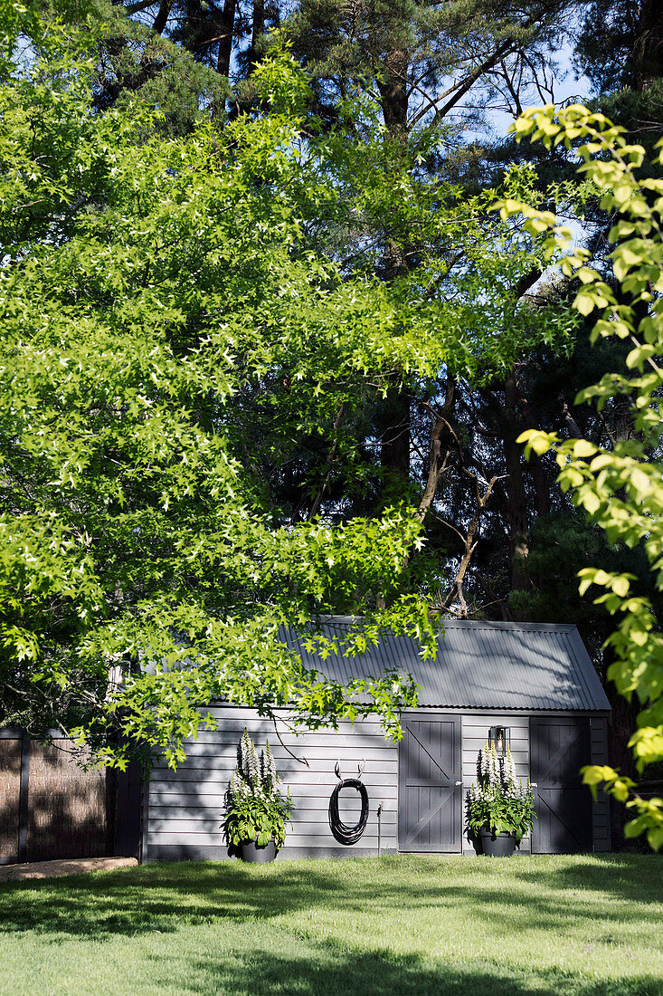 Garden shed somewhat hidden under tall trees