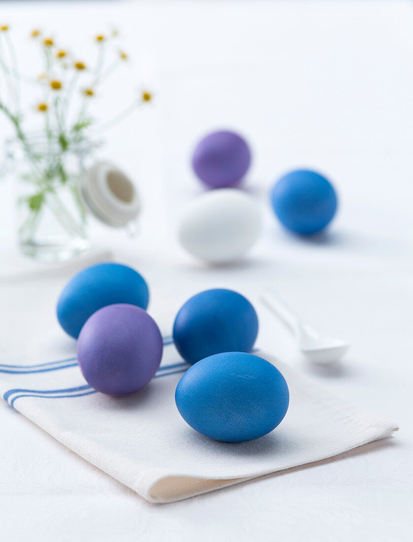 Blau und violett gefärbte Eier