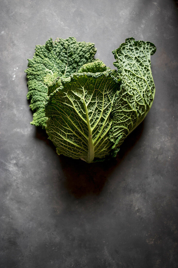 Fresh green big cabbage on grey background