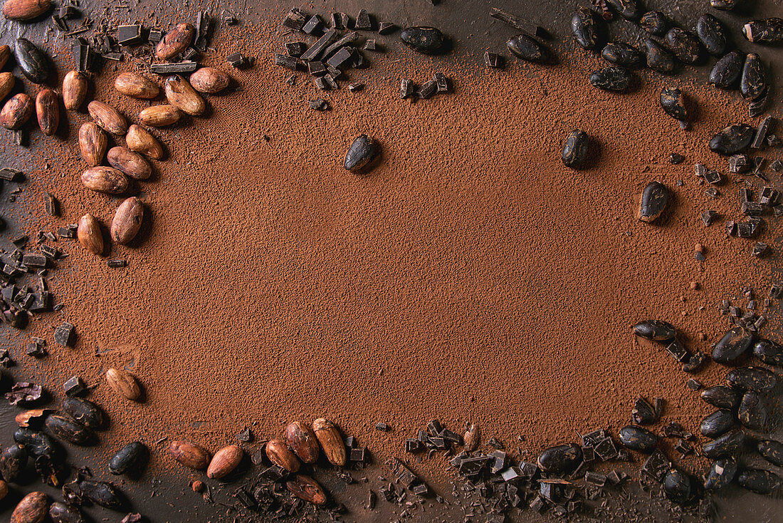 Variety of fresh and dry cocoa beans with chopped dark chocolate over cocoa powder as background