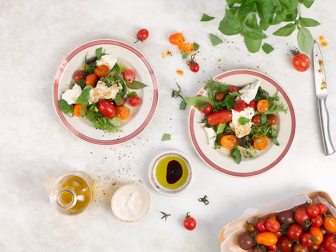 Tomato and mozzarella salad