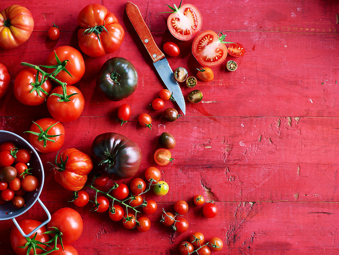 Tomatenstilleben auf rotem Holzuntergrund