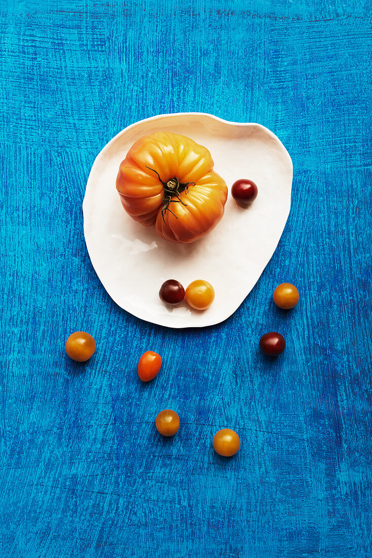 Verschiedene Tomatensorten auf Teller und blauem Untergrund