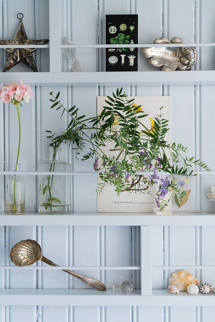 Flowers and vintage-style ornament on shelves on pale blue board wall