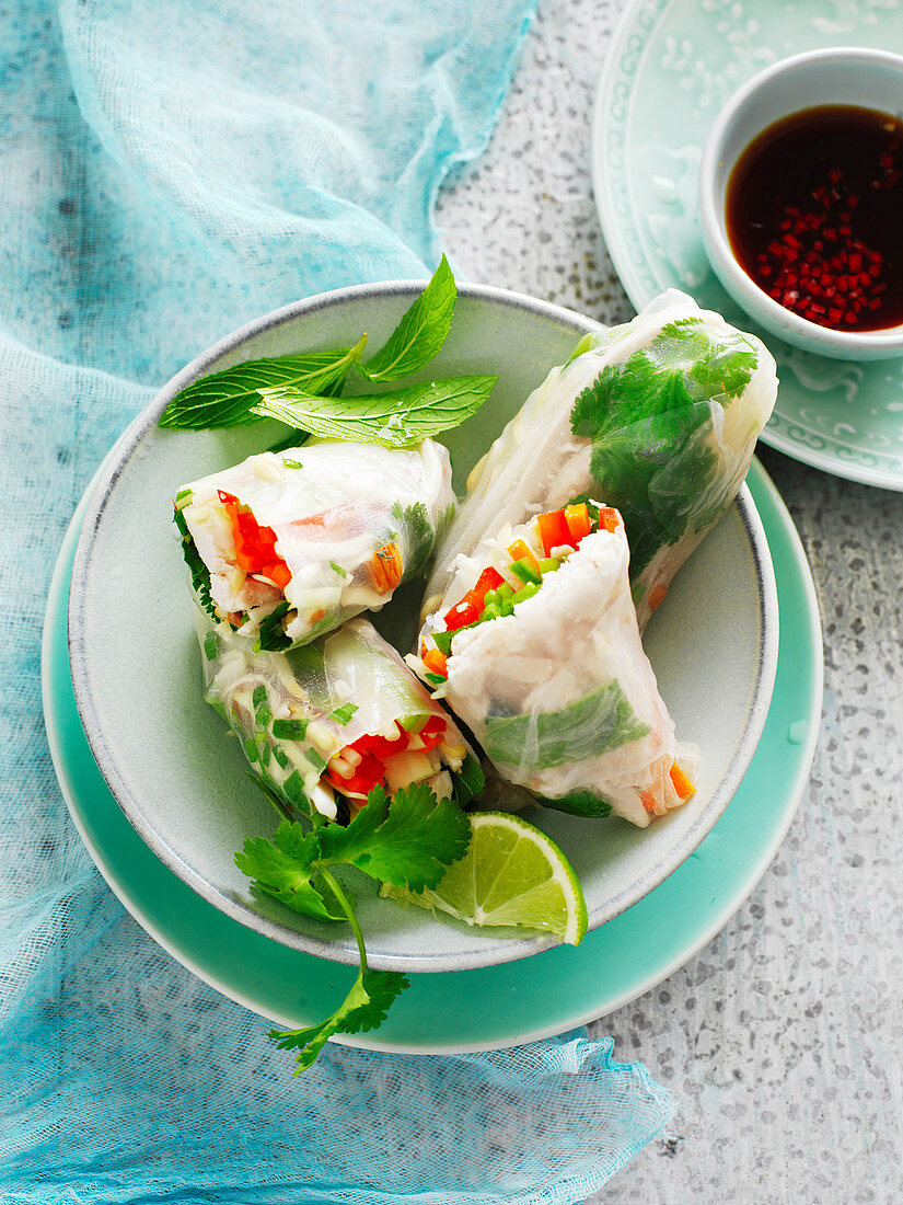 Reispapierröllchen gefüllt mit Huhn und Gemüse (Asien)