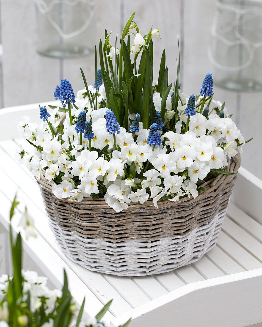 Spring container