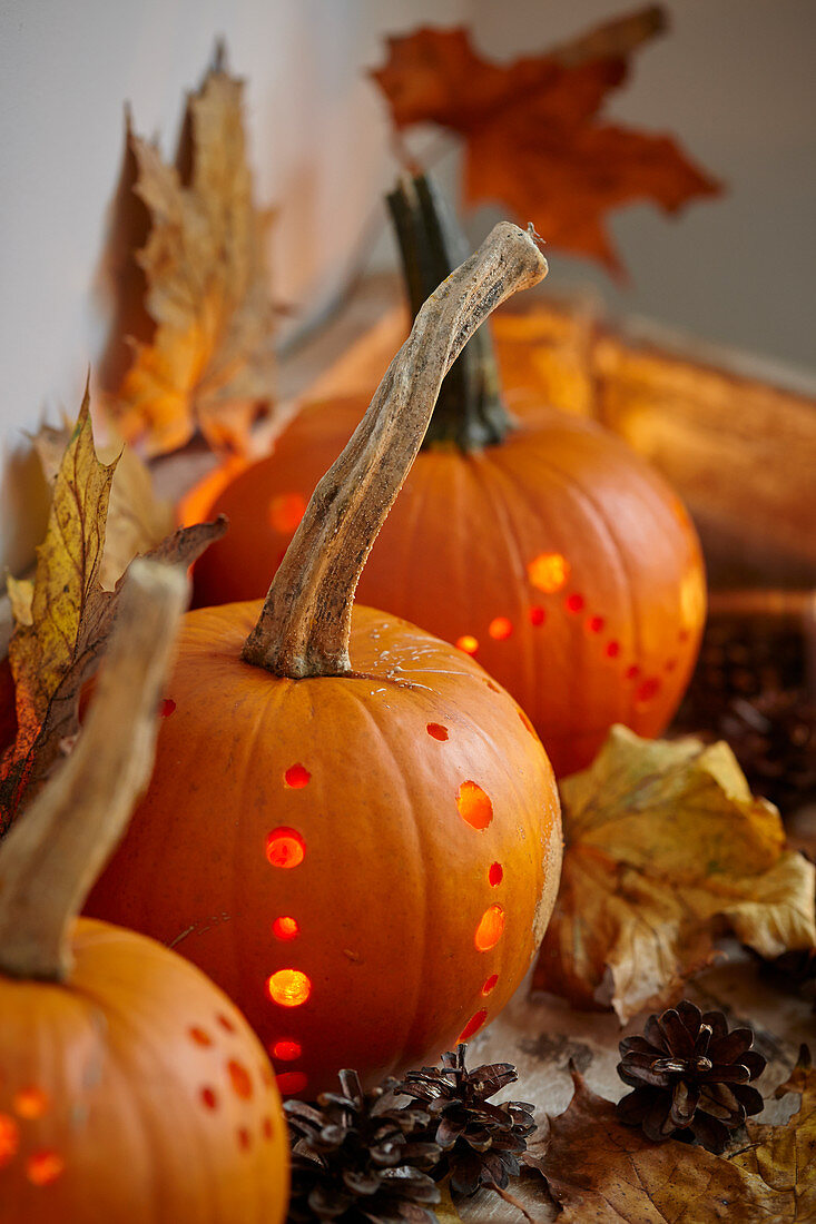 Halloween pumpkins