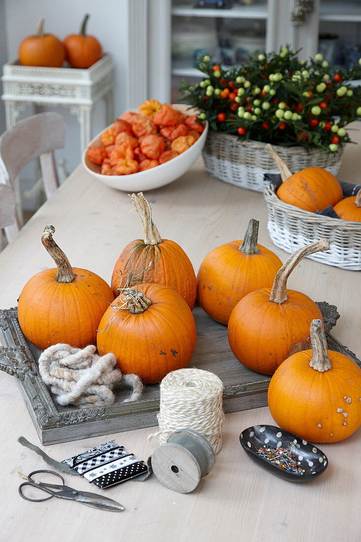 Decorating pumpkins