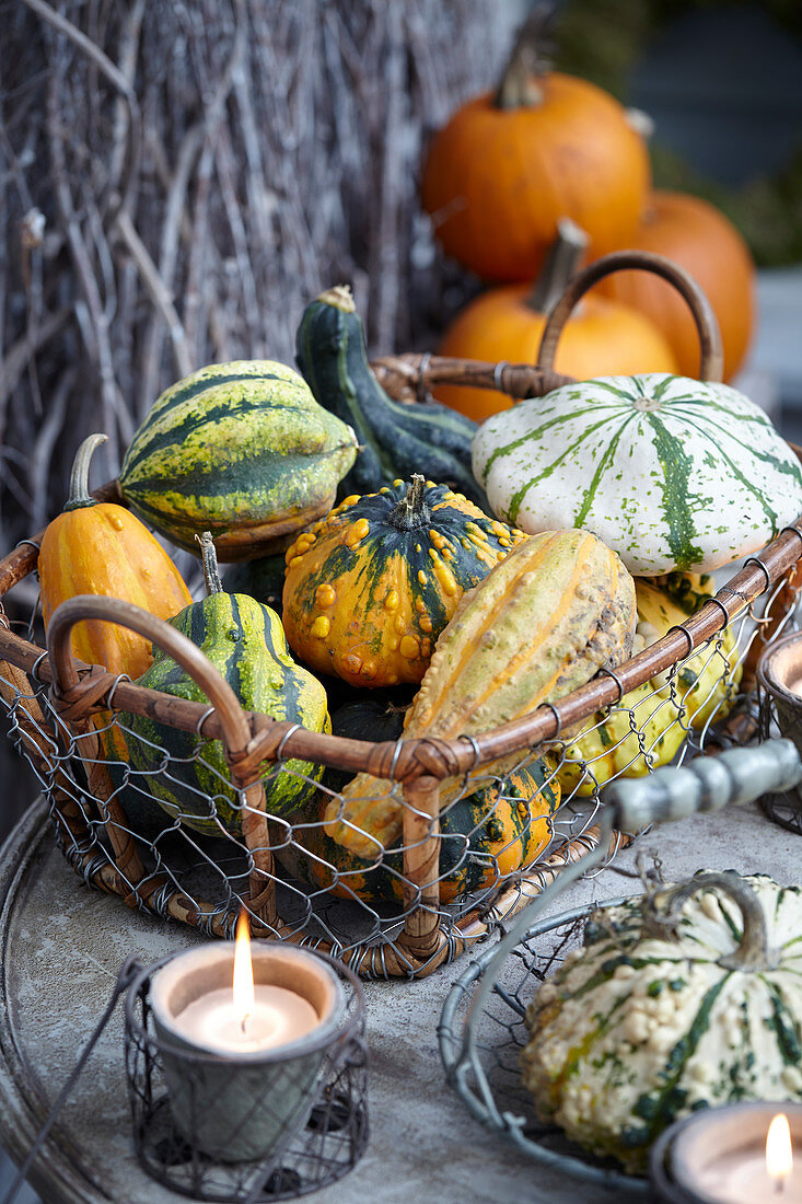 Gourds mix