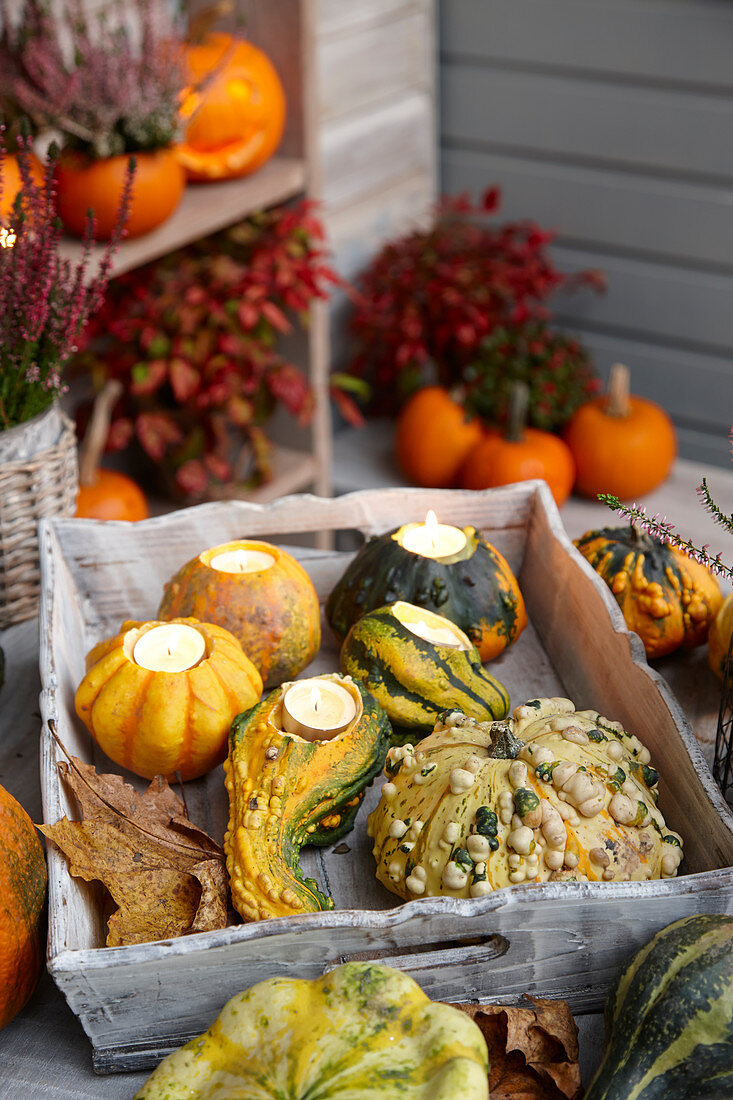 Gourds candlesticks