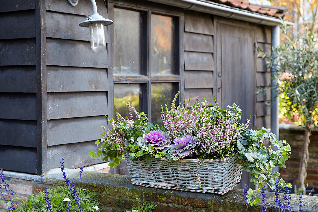 Autumn container