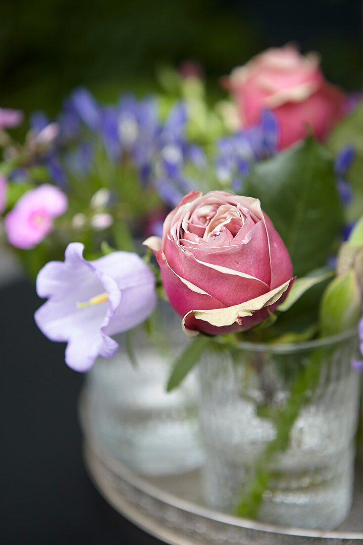 Blüten von Rose und Glockenblume