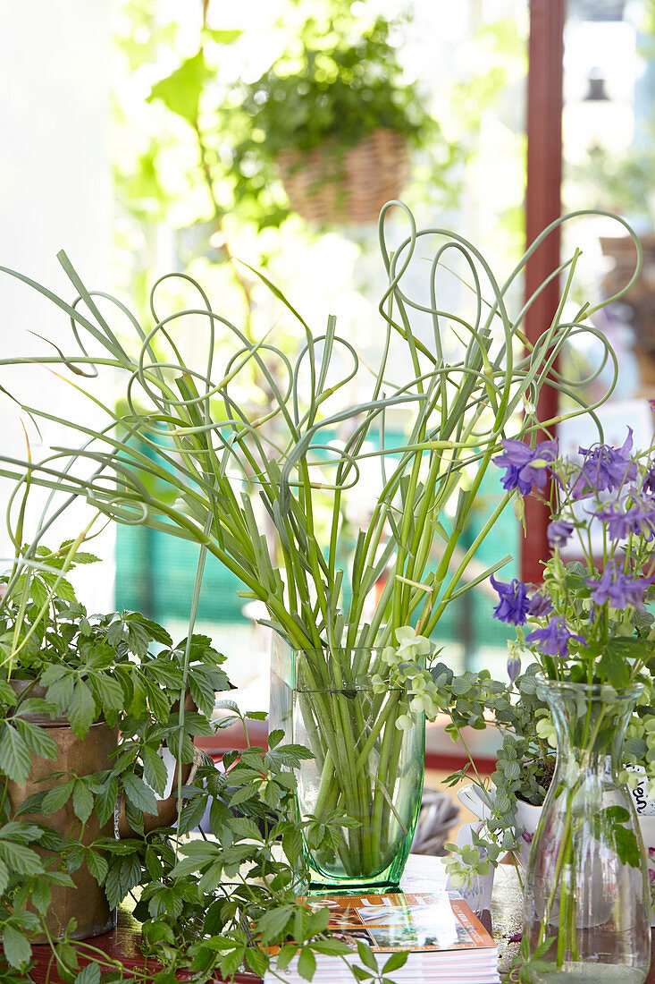 Vases in greenhouse