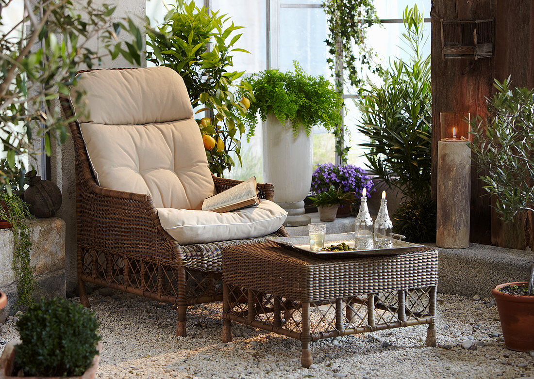 Gemütlicher Sitzplatz mit Korbstuhl im üppigen Wintergarten