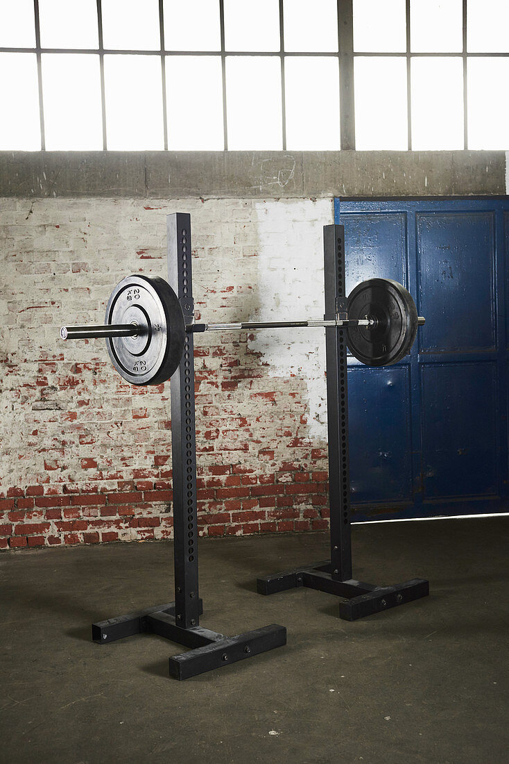 A barbell on a stand