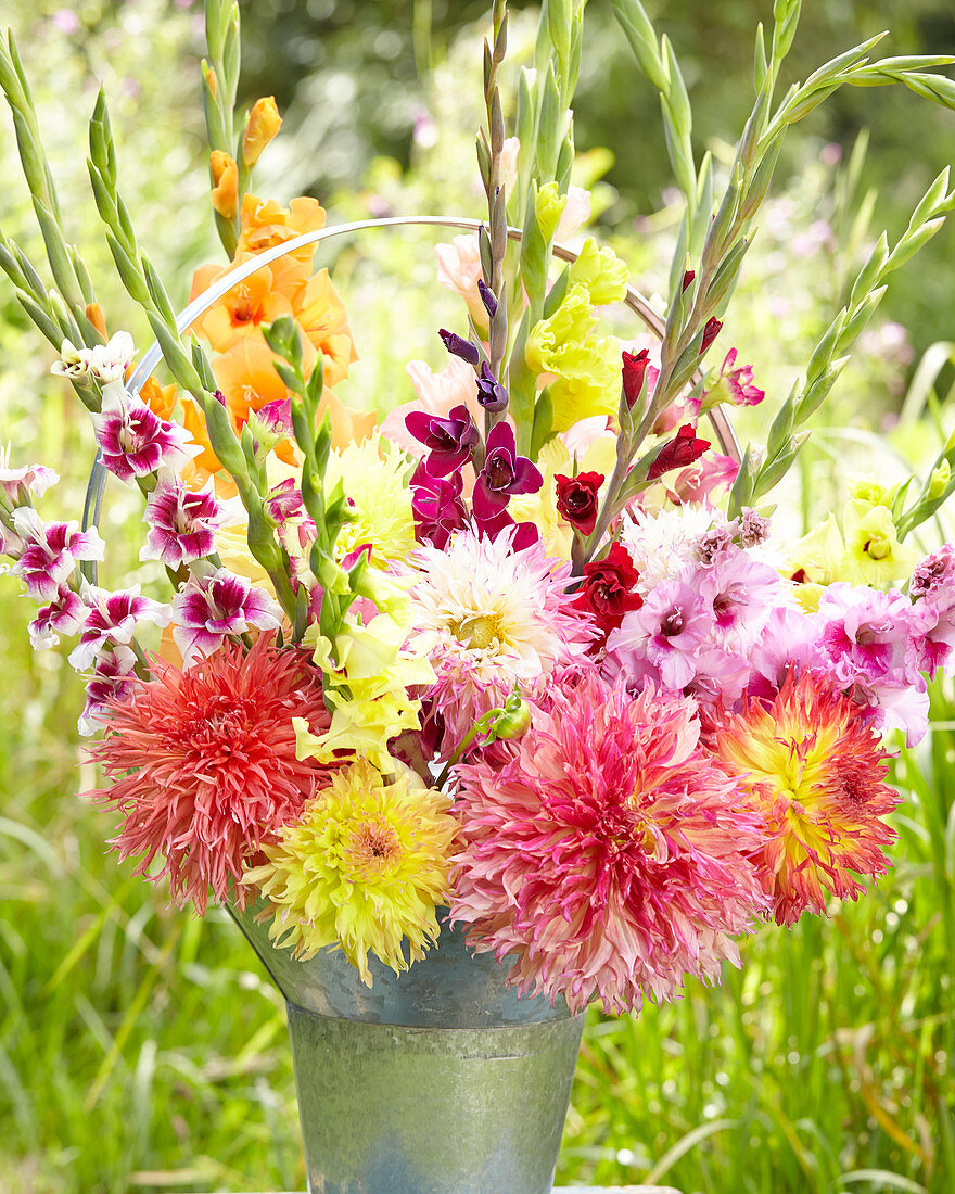 Dahlia and gladiolus mix